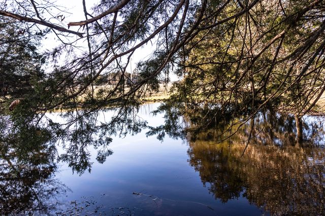 13678 State Highway O, Ava, MO 65608