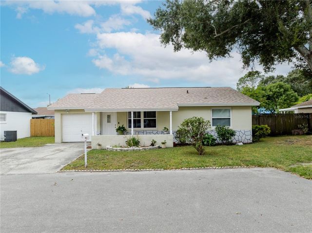 10118 HUNTERS POINT COURT, Tampa, FL 33615