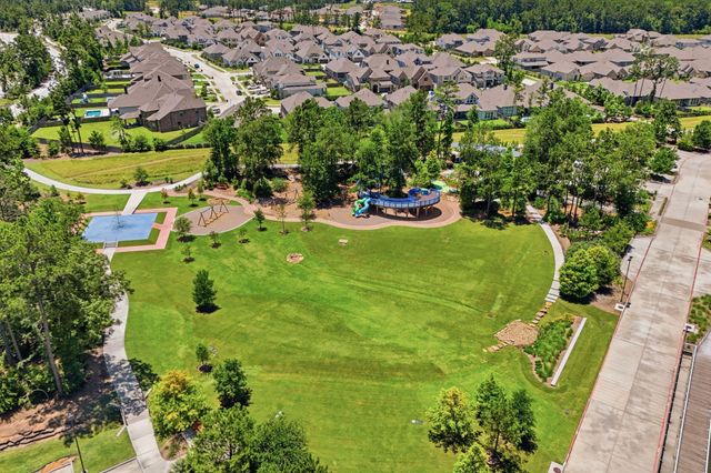 17446 Vino Vines Lane, Conroe, TX 77302