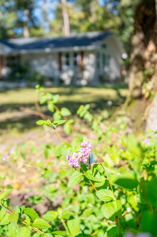 Image 8 of property listing at 5734 Edgar Tumbleston Road, Hollywood, SC 29449