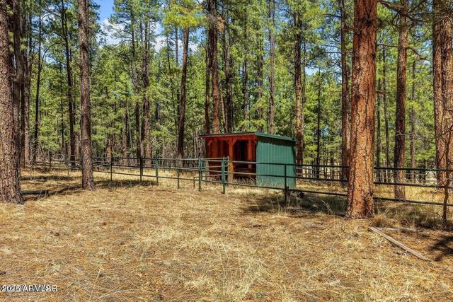 61 COUNTY ROAD 2266 --, Alpine, AZ 85920