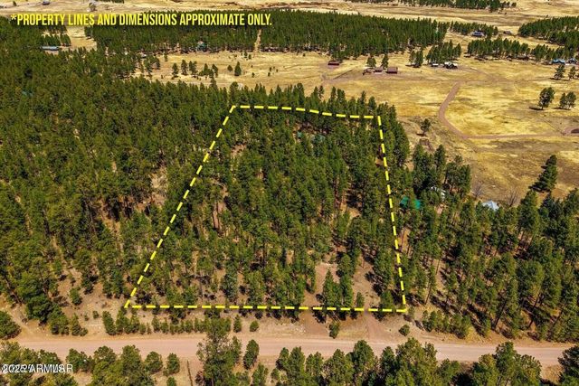 61 COUNTY ROAD 2266 --, Alpine, AZ 85920
