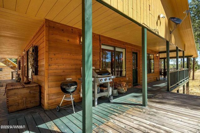 61 COUNTY ROAD 2266 --, Alpine, AZ 85920