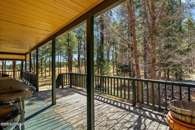 61 COUNTY ROAD 2266 --, Alpine, AZ 85920