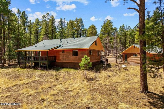 61 COUNTY ROAD 2266 --, Alpine, AZ 85920