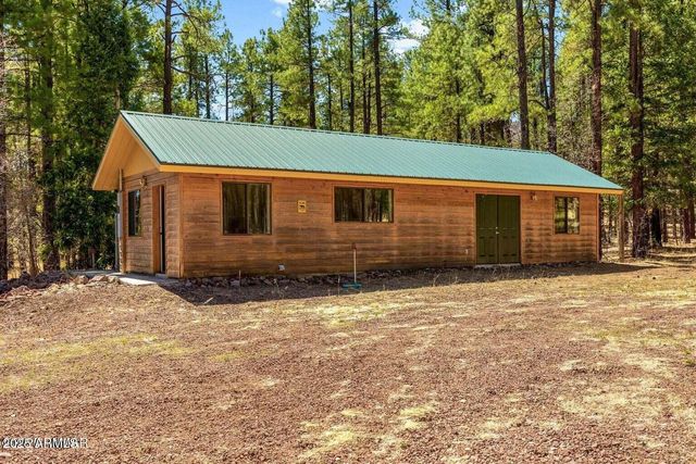 61 COUNTY ROAD 2266 --, Alpine, AZ 85920