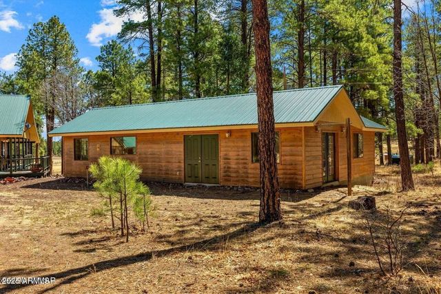61 COUNTY ROAD 2266 --, Alpine, AZ 85920