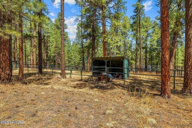 61 COUNTY ROAD 2266 --, Alpine, AZ 85920