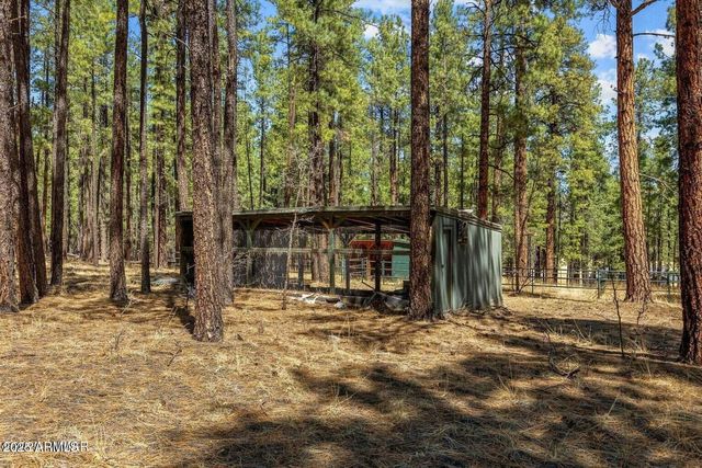 61 COUNTY ROAD 2266 --, Alpine, AZ 85920