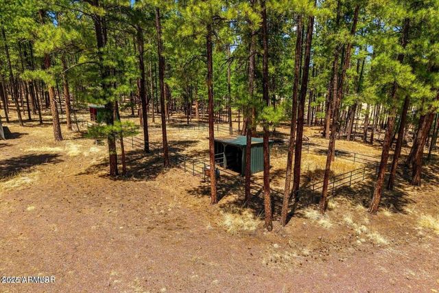 61 COUNTY ROAD 2266 --, Alpine, AZ 85920