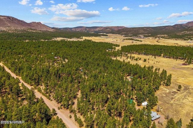 61 COUNTY ROAD 2266 --, Alpine, AZ 85920