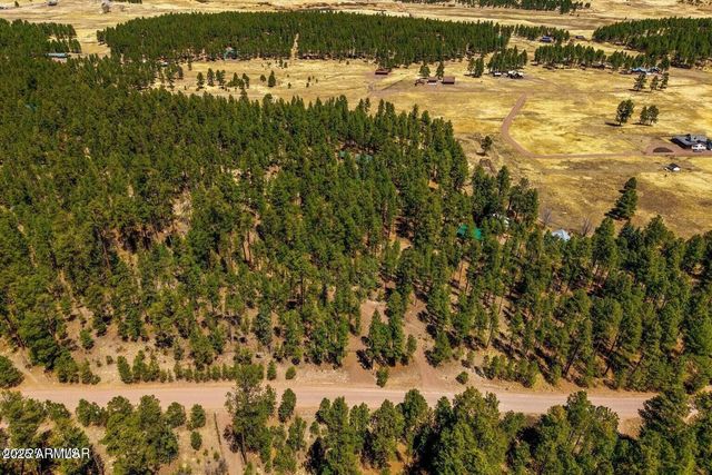 61 COUNTY ROAD 2266 --, Alpine, AZ 85920