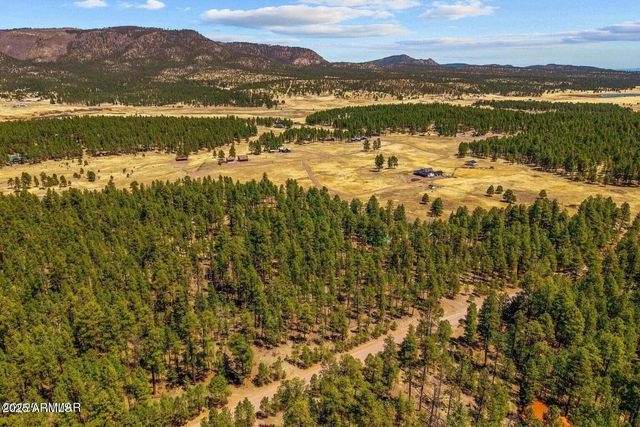 61 COUNTY ROAD 2266 --, Alpine, AZ 85920