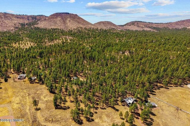61 COUNTY ROAD 2266 --, Alpine, AZ 85920