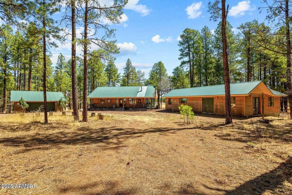 61 COUNTY ROAD 2266 --, Alpine, AZ 85920