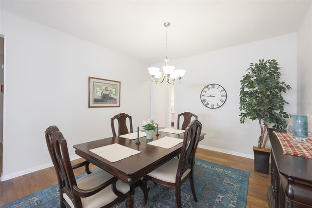 12333 JUNIPER FIELD COURT, Riverview, FL 33579