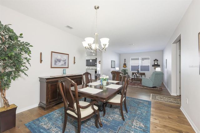 12333 JUNIPER FIELD COURT, Riverview, FL 33579