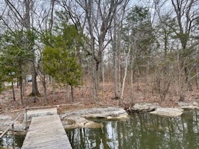 164 Odoms Bend Rd, Gallatin, TN 37066