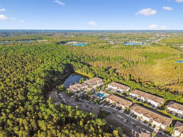 17856 ALTHEA BLUE PLACE, Lutz, FL 33558