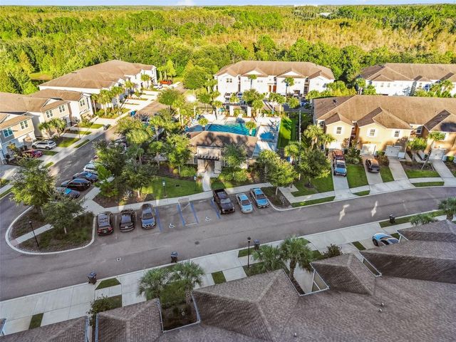 17856 ALTHEA BLUE PLACE, Lutz, FL 33558
