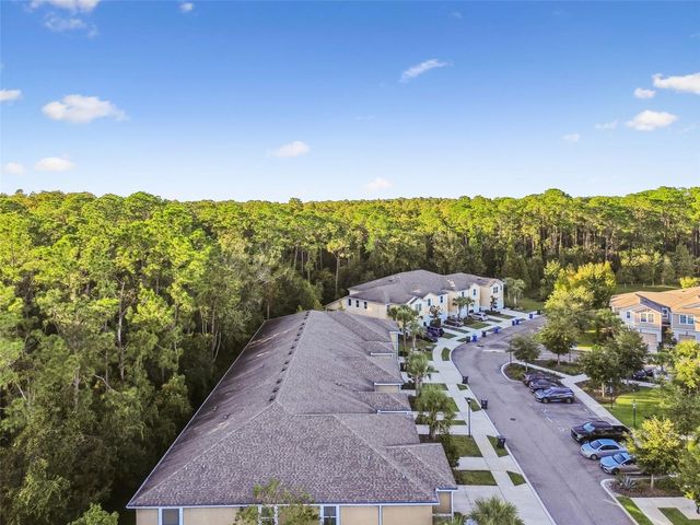 17856 ALTHEA BLUE PLACE, Lutz, FL 33558
