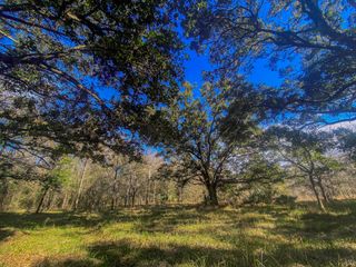 000 Fm-524, Sweeny, TX 77480