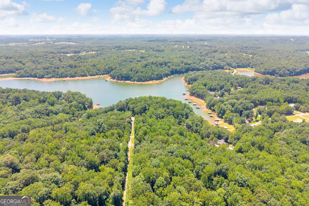 0 De La Taix Drive, Lavonia, GA 30553 — photo 4