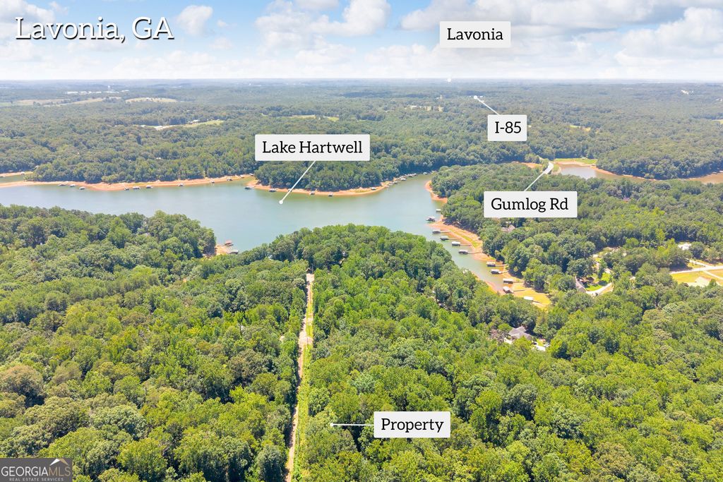 0 De La Taix Drive, Lavonia, GA 30553 — photo 5