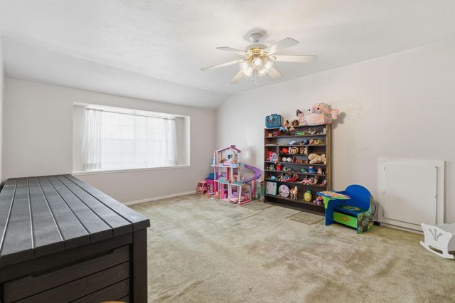 211 Shenandoah Drive, Shenandoah, TX 77381