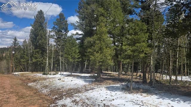 144 Little Bear Peak Road, Florissant, CO 80816