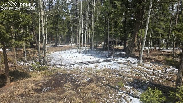 144 Little Bear Peak Road, Florissant, CO 80816