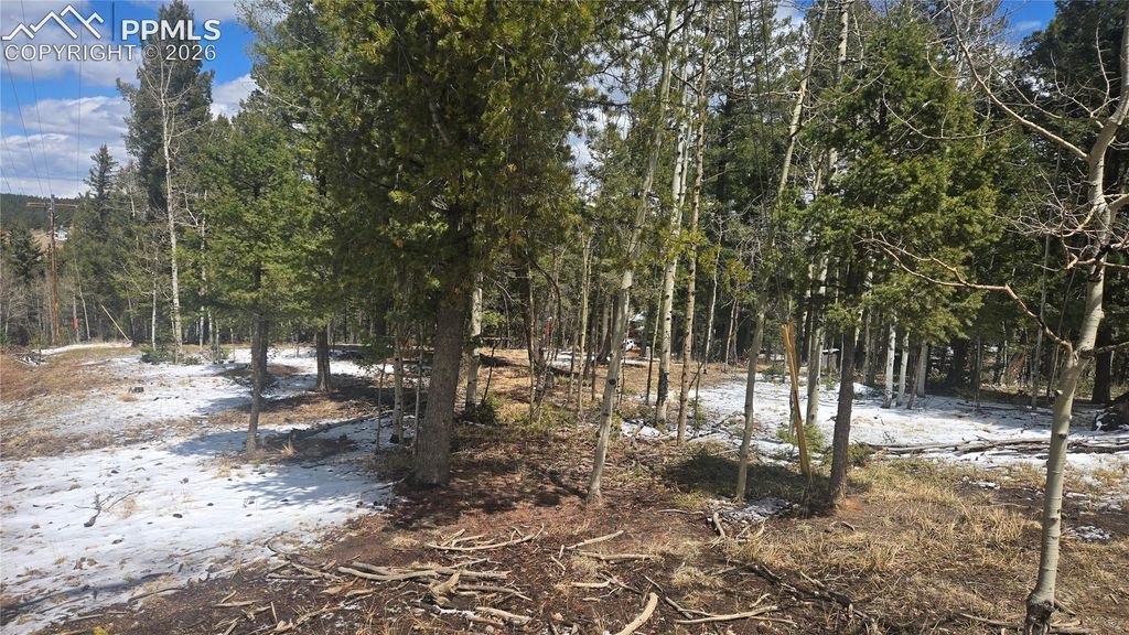 144 Little Bear Peak Road, Florissant, CO 80816