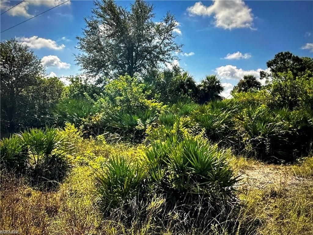 7644 14th TER, Labelle, FL 33935