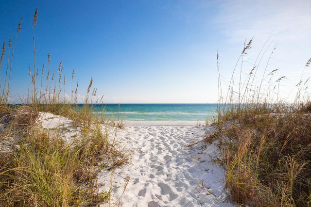 11 Driftwood Road 22, Miramar Beach, FL 32550