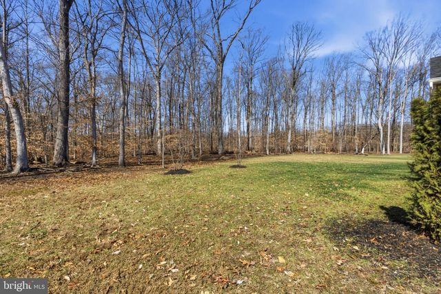 1001 SHANNON FALLS DR, Newark, DE 19702