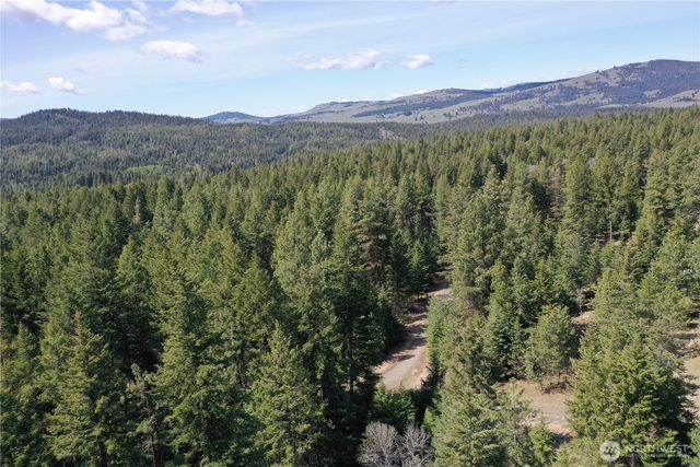 65 A Spring Meadow Lane, Oroville, WA 98844