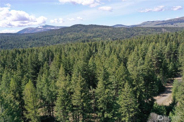 65 A Spring Meadow Lane, Oroville, WA 98844