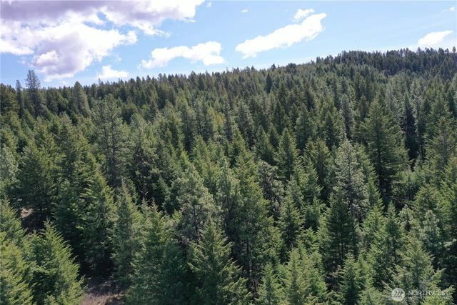 65 A Spring Meadow Lane, Oroville, WA 98844