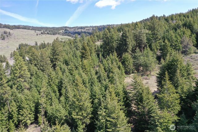 65 A Spring Meadow Lane, Oroville, WA 98844