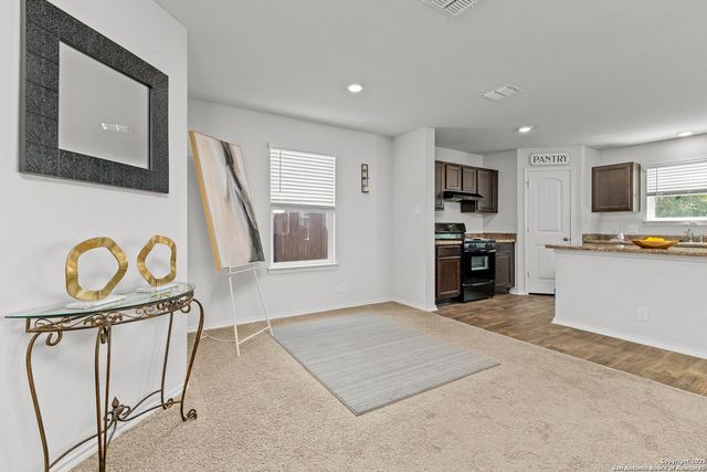 4234 Salado Crest, San Antonio, TX 78222