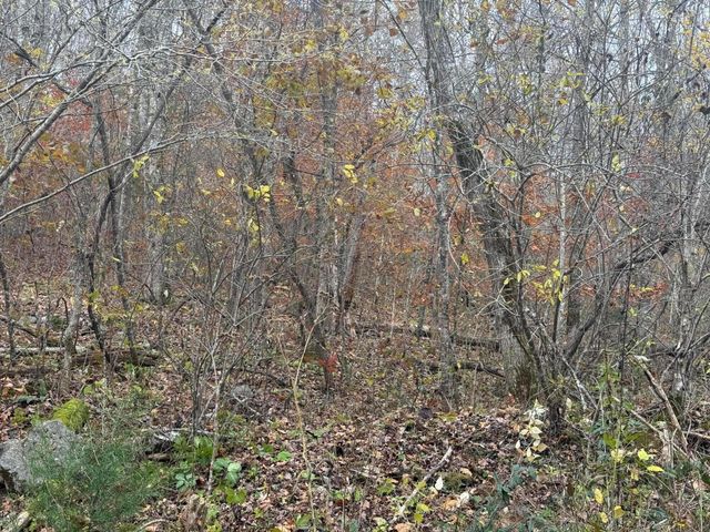 755 Slip Rock Canyon Road, Monticello, KY 42633