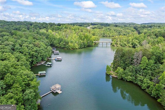 88 Toto Creek Drive W, Dawsonville, GA 30534