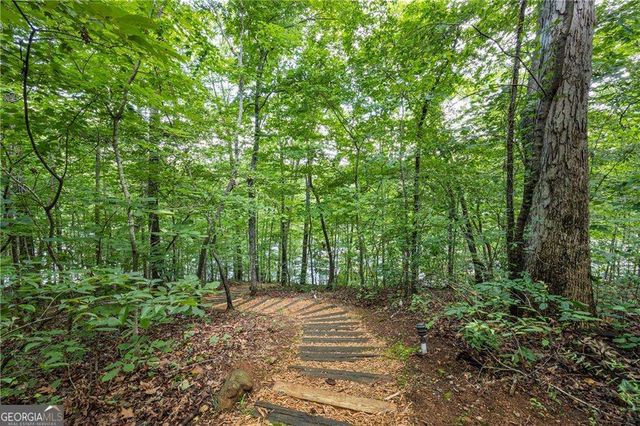 88 Toto Creek Drive W, Dawsonville, GA 30534