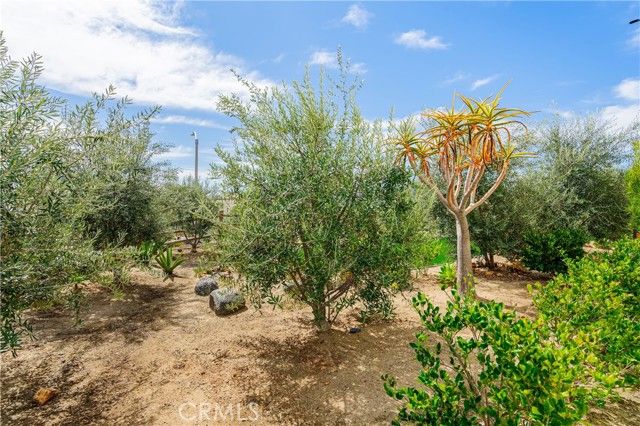 35103 Vintage Cove, Fallbrook, CA 92028