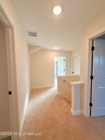 6104 Hickory Point Drive, Walls, MS 38680