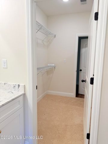 6104 Hickory Point Drive, Walls, MS 38680