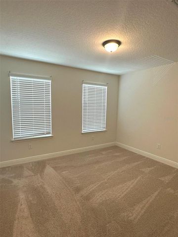 11634 CAMBIUM CROWN DRIVE, Riverview, FL 33569