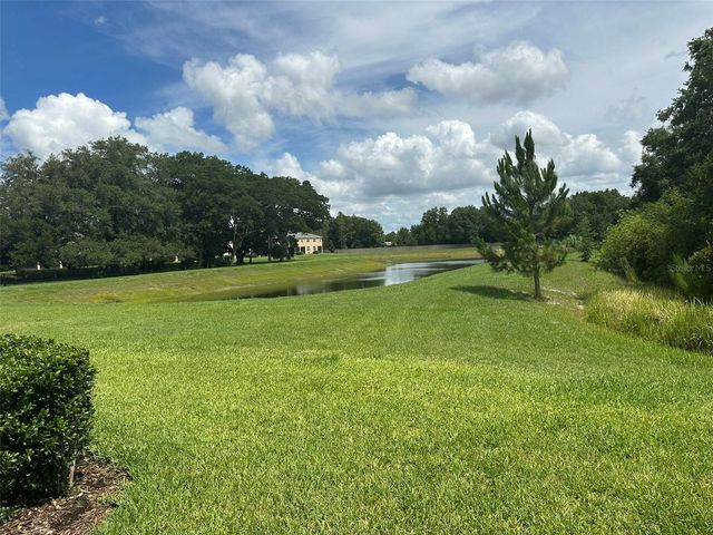 11634 CAMBIUM CROWN DRIVE, Riverview, FL 33569