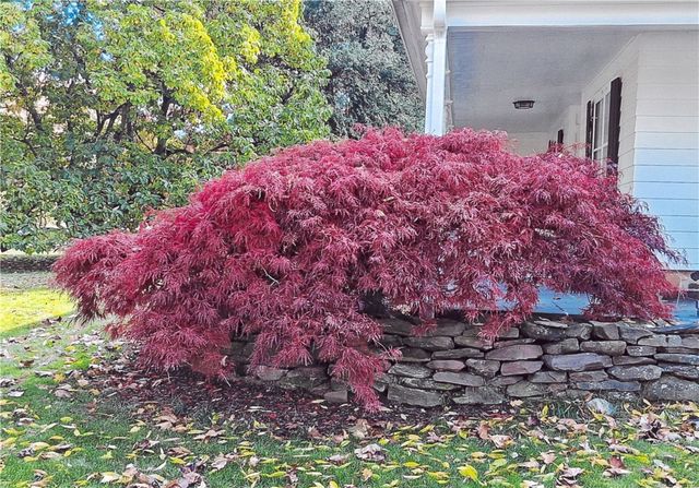 1831 Manitou Road, Parma, NY 14559