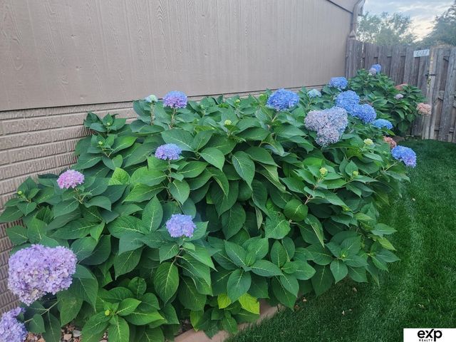 12144 S 221st Street, Gretna, NE 68028